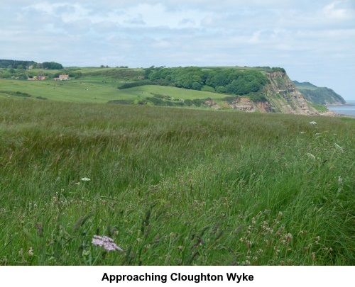 Cliff path approaching Cloughton Wyke.