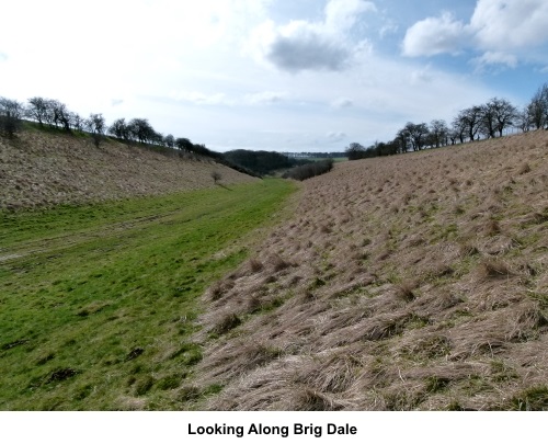 Looking along Brig Dale