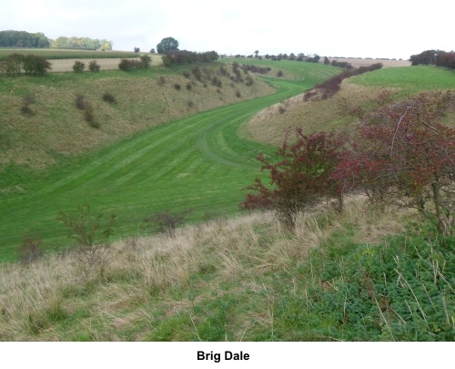 Brig Dale