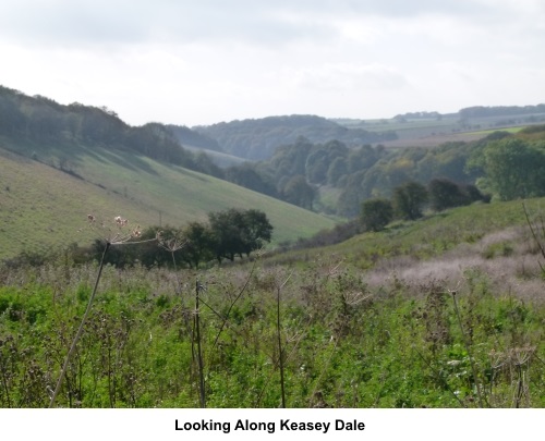 Keasey Dale