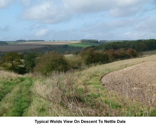 Descent to Nettle Dale