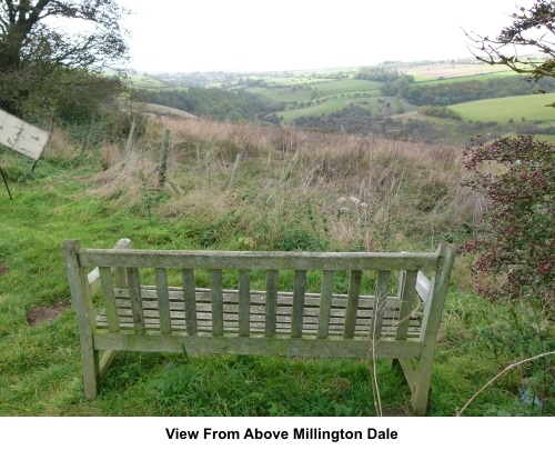 View from above Millington Dale