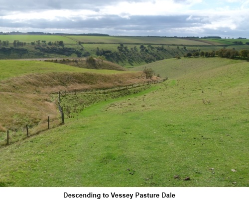 Vessey Pasture dale