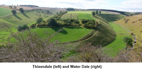 Thixendale and Water Dale