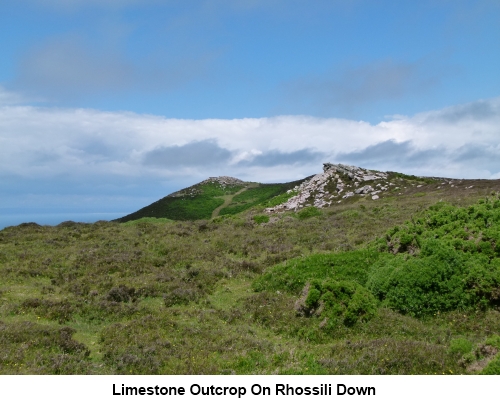 Limestone outcrop on Rhossili Dopwn.