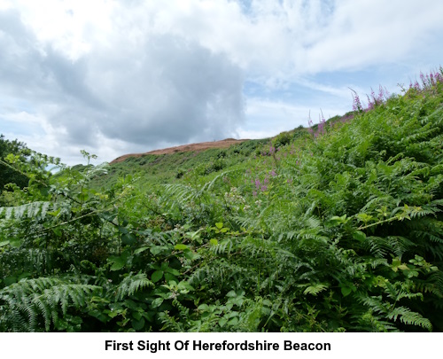 The first sight of Herefordshire Beacon.