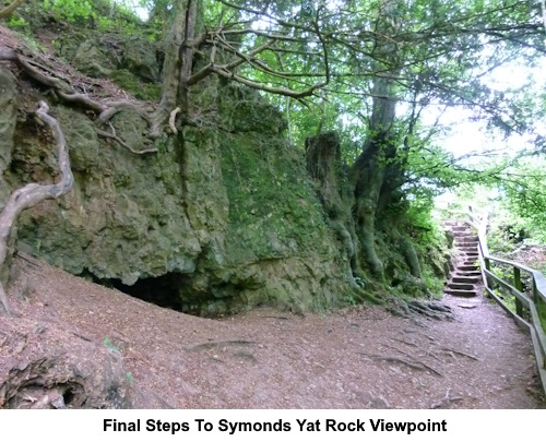 Final steps to the Symonds Yat Rock viewpoint.