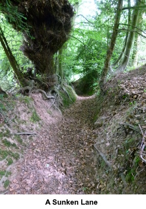 The sunken lane referred to in the text.