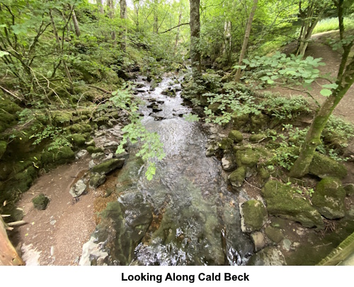 Looking along Cald Beck from the footbridge.