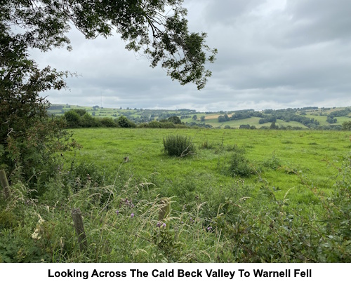 Looking across the Cald Beck valley to Warnell Fell.