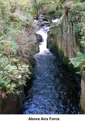 Above Aira Force