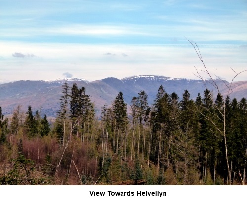 View towards Helvellyn