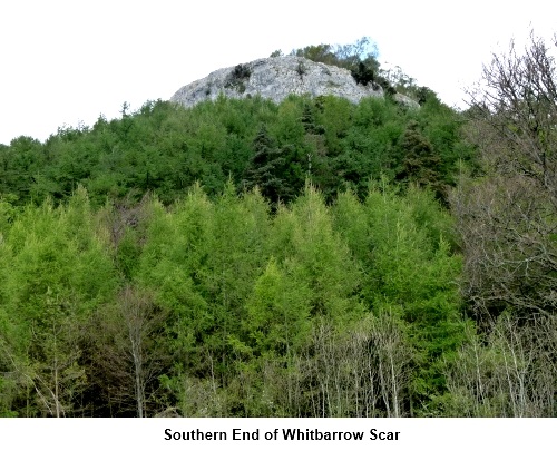 Southern end of Whitbarrow Scar