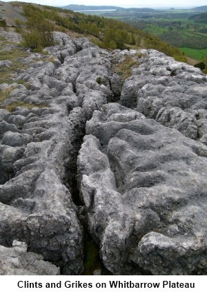 Limestone pavement