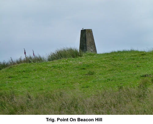 Trig. point on Beacon Hill.