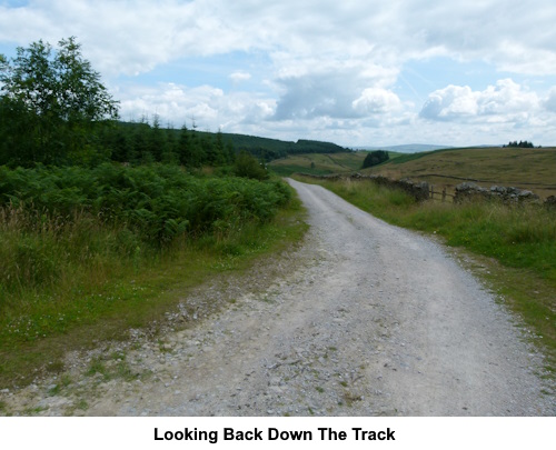Looking back along the track.