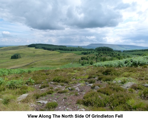 View along the north side of Grindleton Fell.