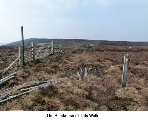 Bleak moorland