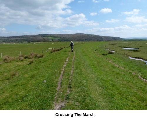 Crossing the marsh