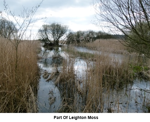 Leighton Moss