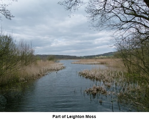 Leighton Moss