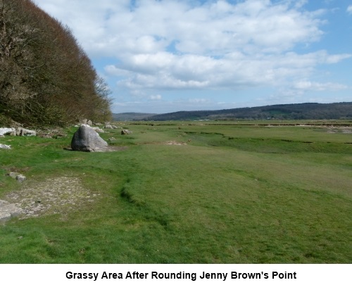 Grassy area just after Jenny Brown's Point