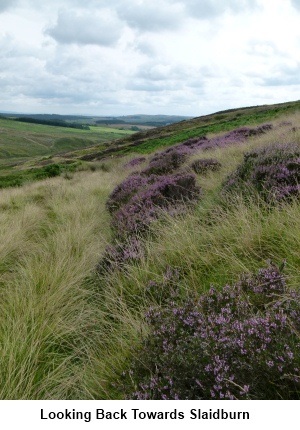 Looking towards Slaidburn