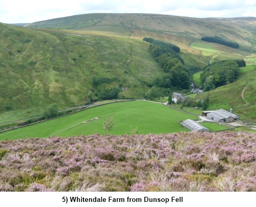 Whitendale