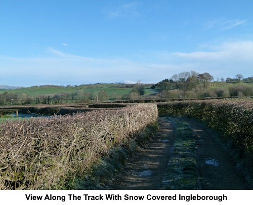 A view allong the track referred to in the text with Ingleborough in the background.