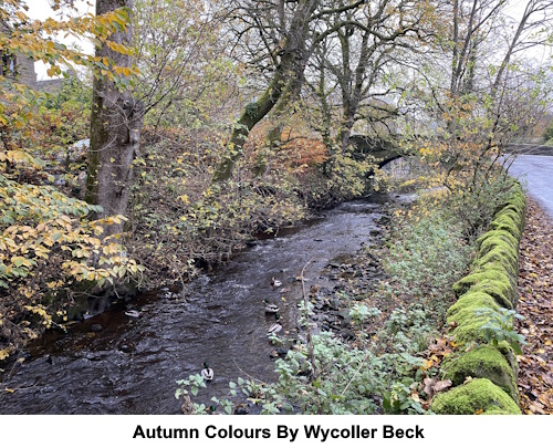 Autumn colours by Wycoller beck.