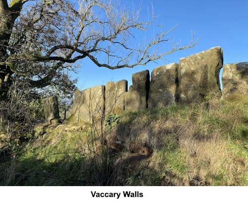 Vaccary Walls.