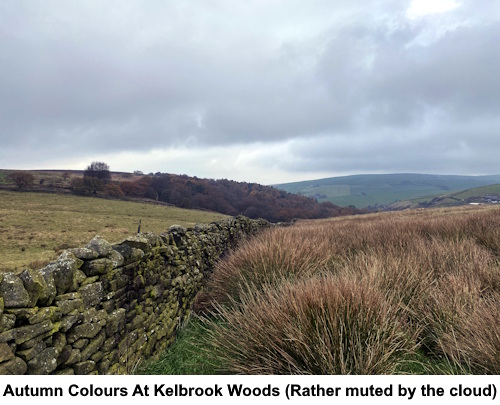 Autumn colours at Kelbrook Woods.