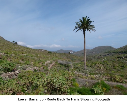 Lower barranco - route back to Haria showing footpath