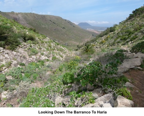 Looking down the barranco to Haria