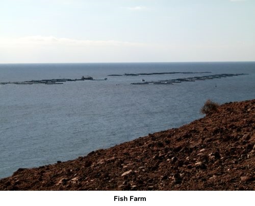 Fish farm off Playa Quemada