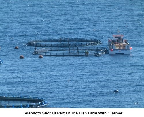 Close up of Fish Farm near Playa Quemada