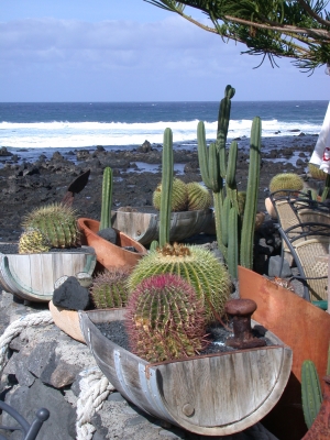 View at El Golfo