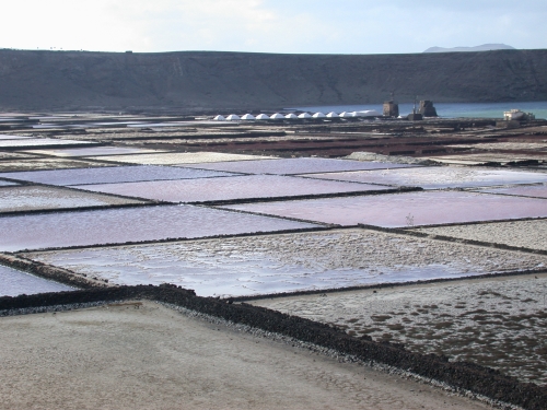 Janubio Salt Pans