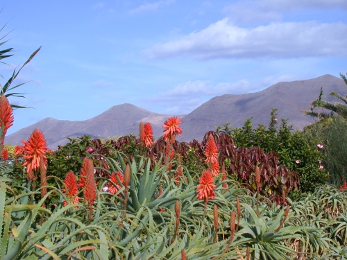 the Monumento Natural de Los Ajaches mountain range