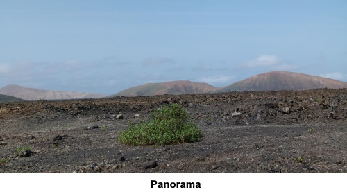 Panoramic shot of the landscape.