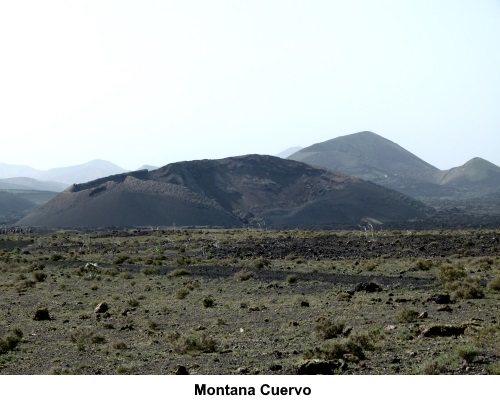 Montana Cuervo.