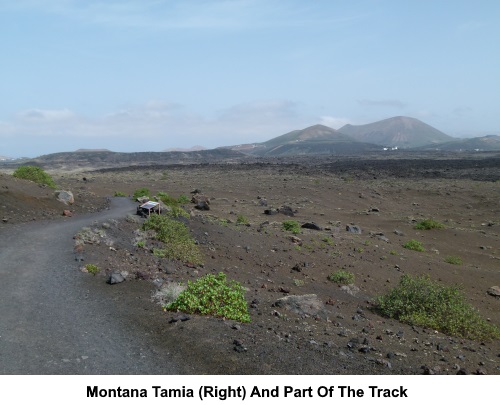 Montana Tamia (right) and part of the track.