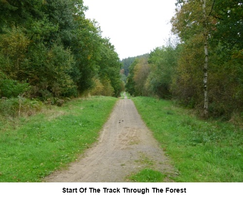 Start of the walk through Over Silton Forest