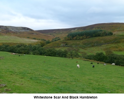 Whitestone Scar