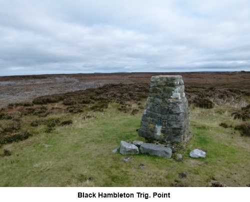 Black Hambleton trig. point