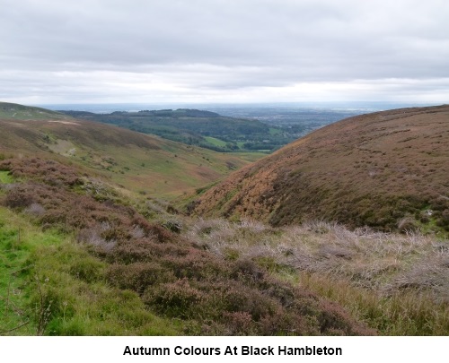 Autumn colours at Black Hambleton