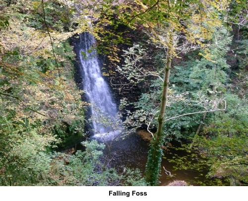 Falling Foss, North York Moors