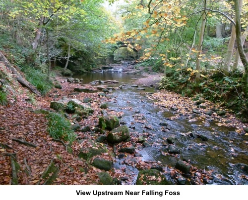 View upstream near Falling Foss