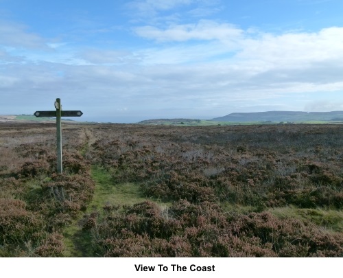 View to coast from Fylingdales Moor