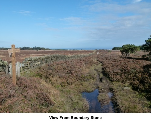 View from the boundary stone